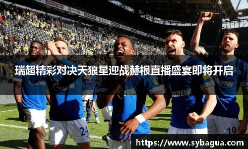 瑞超精彩对决天狼星迎战赫根直播盛宴即将开启